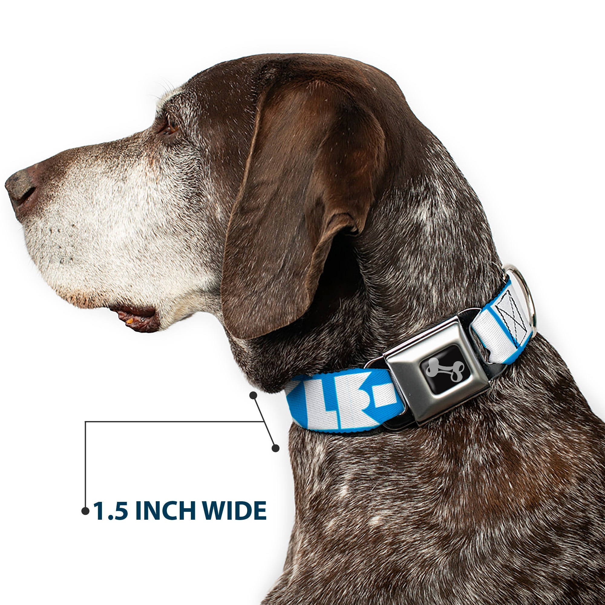 Dog Bone Buckle Collar - BUCKLE-DOWN Shapes Turquoise/White