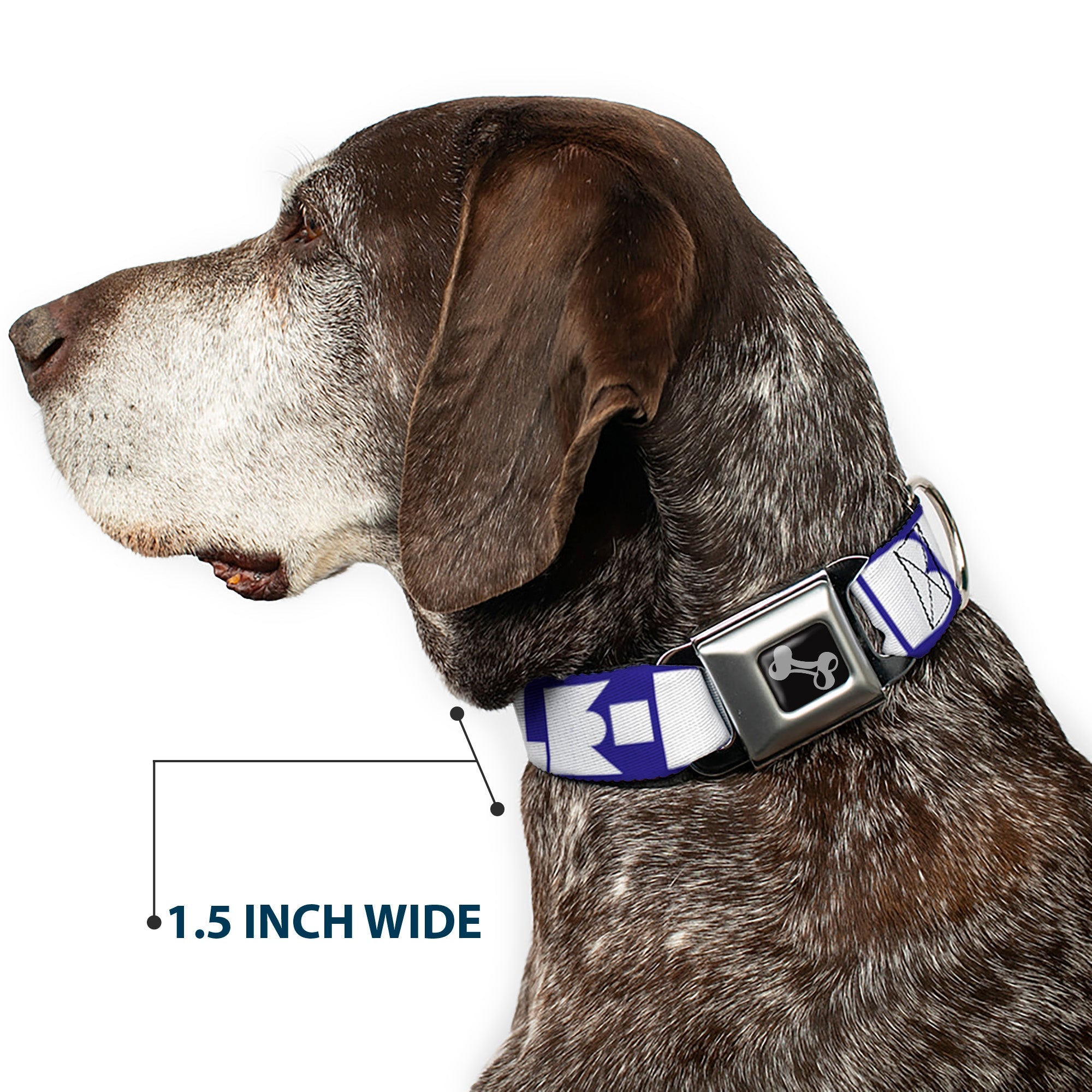 Dog Bone Buckle Collar - BUCKLE-DOWN Shapes Blue/White