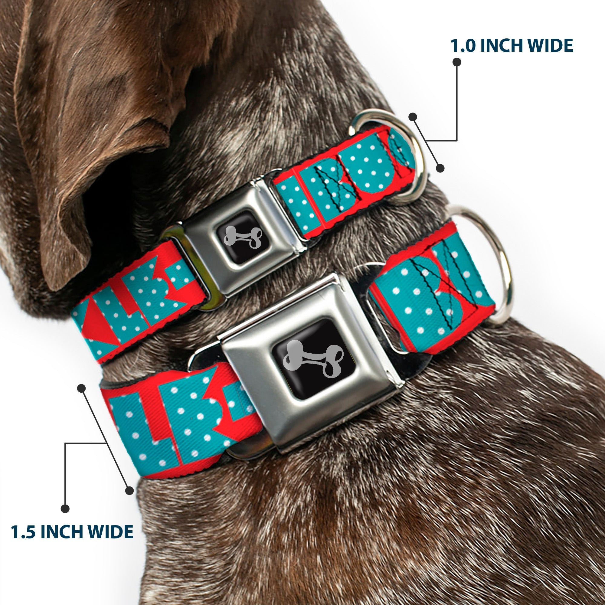 Dog Bone Buckle Collar - BUCKLE-DOWN Shapes Red/Dot Turquoise/White