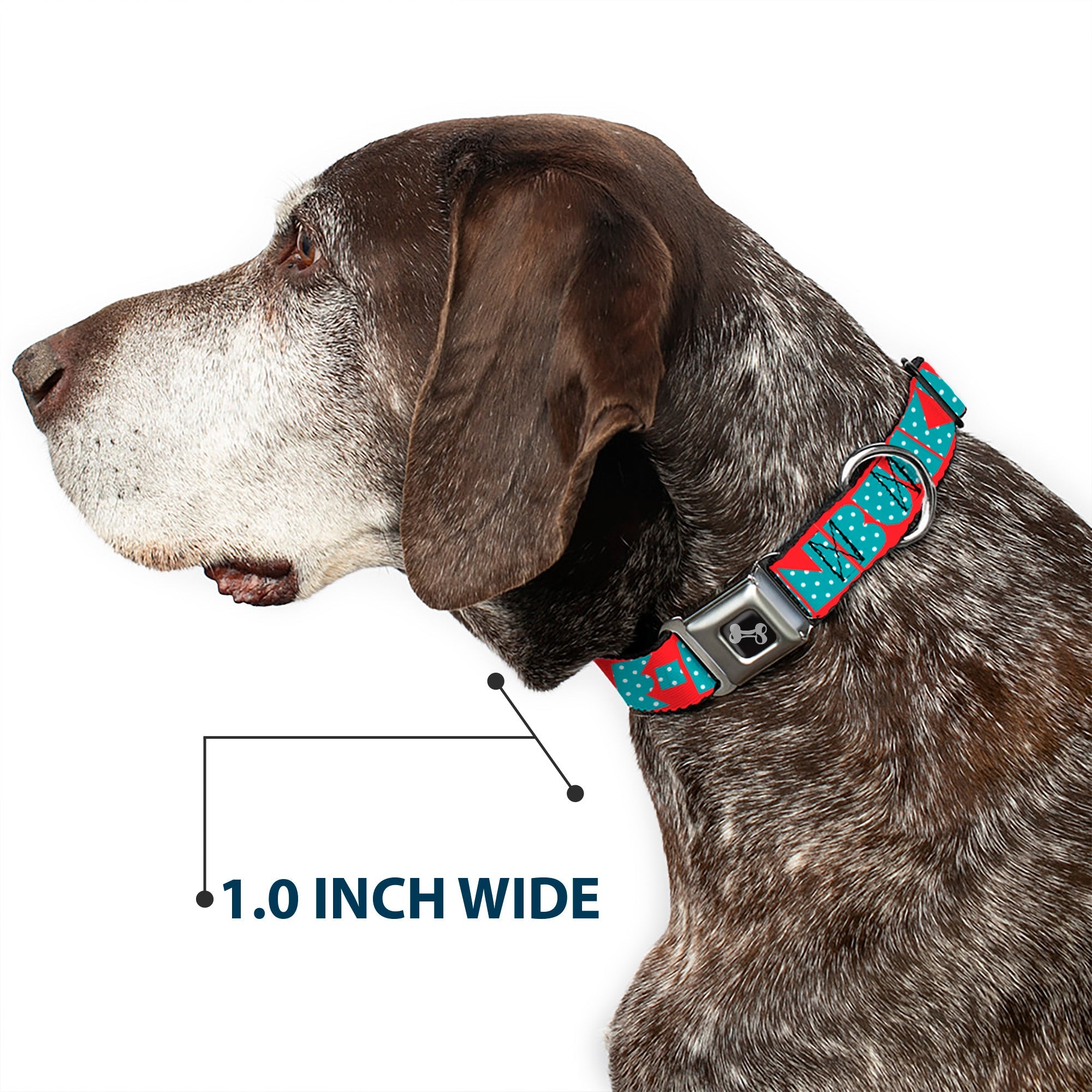Dog Bone Buckle Collar - BUCKLE-DOWN Shapes Red/Dot Turquoise/White