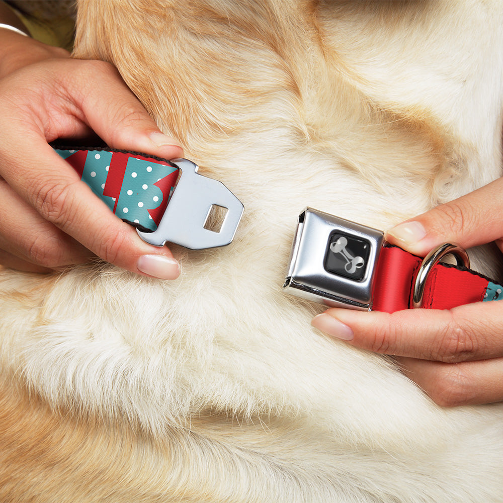 Dog Bone Buckle Collar - BUCKLE-DOWN Shapes Red/Dot Turquoise/White