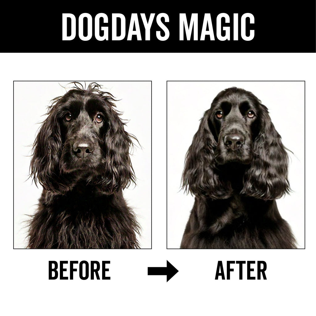 DOGDAYS Leave-In Detangling Spray