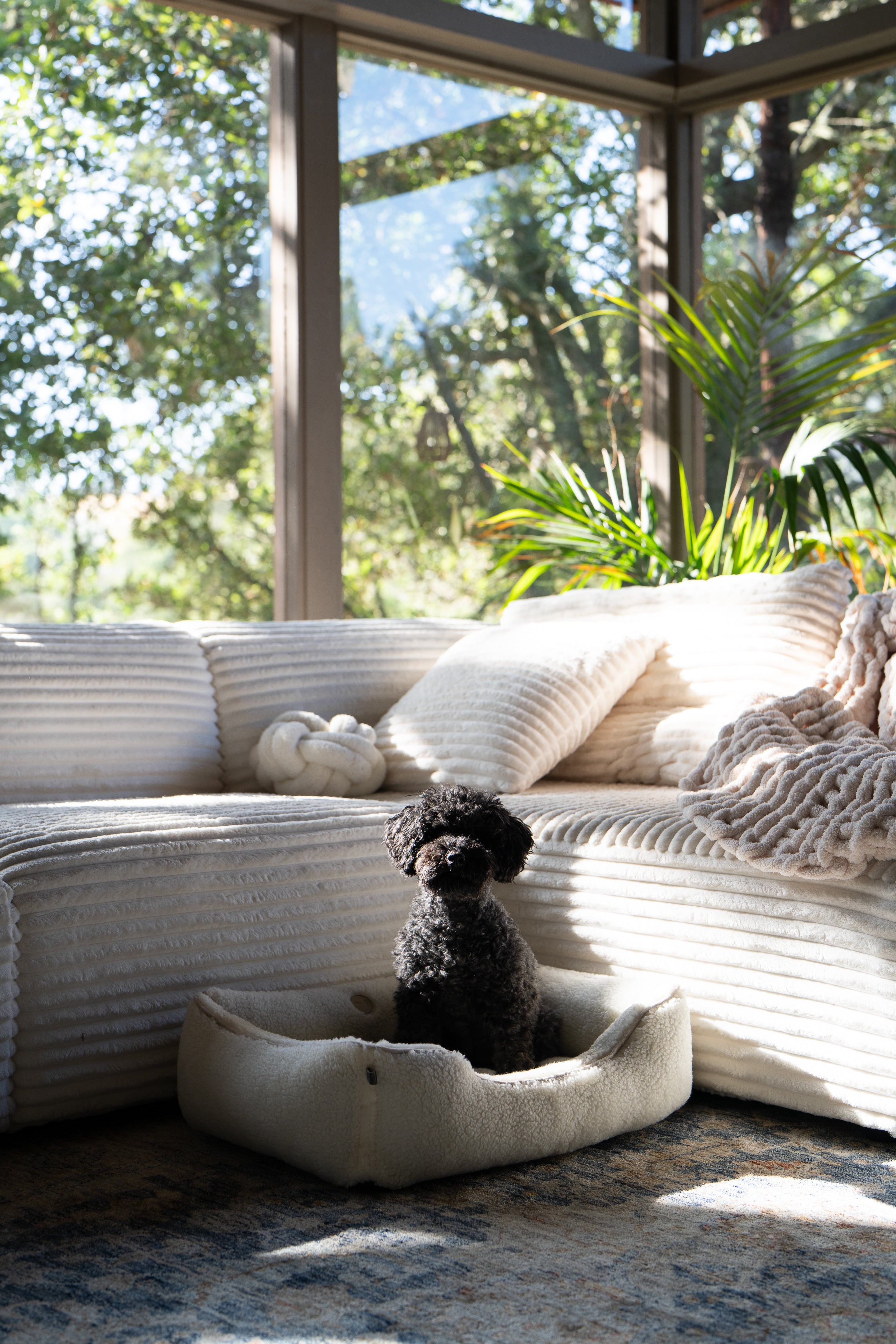 Chester & Lee | Furry Sleeper Pet Bed in Gray