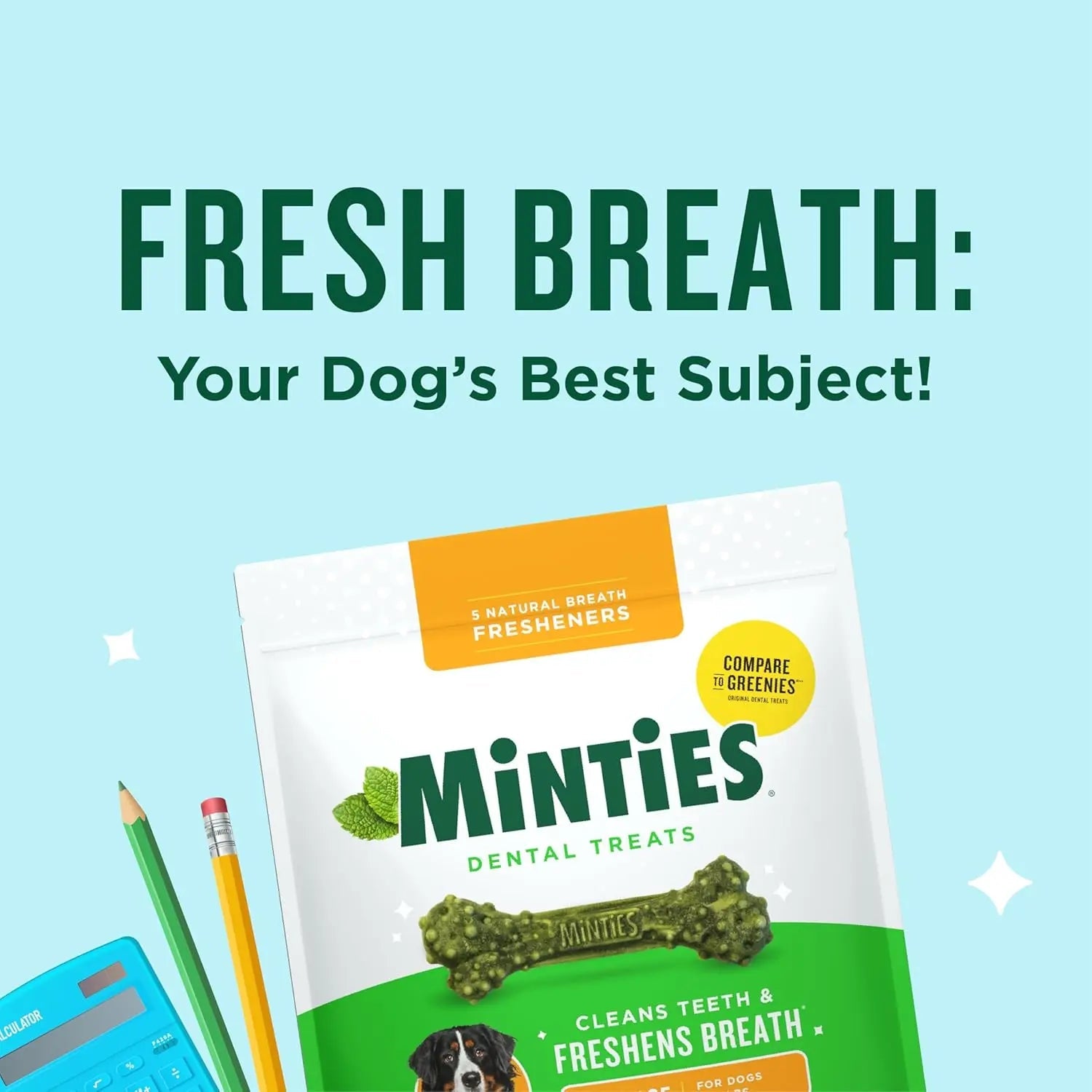 Minties Dental Dog Treats | Vet-Recommended Mint Bones for Fresh Breath – Wags & Whiskers