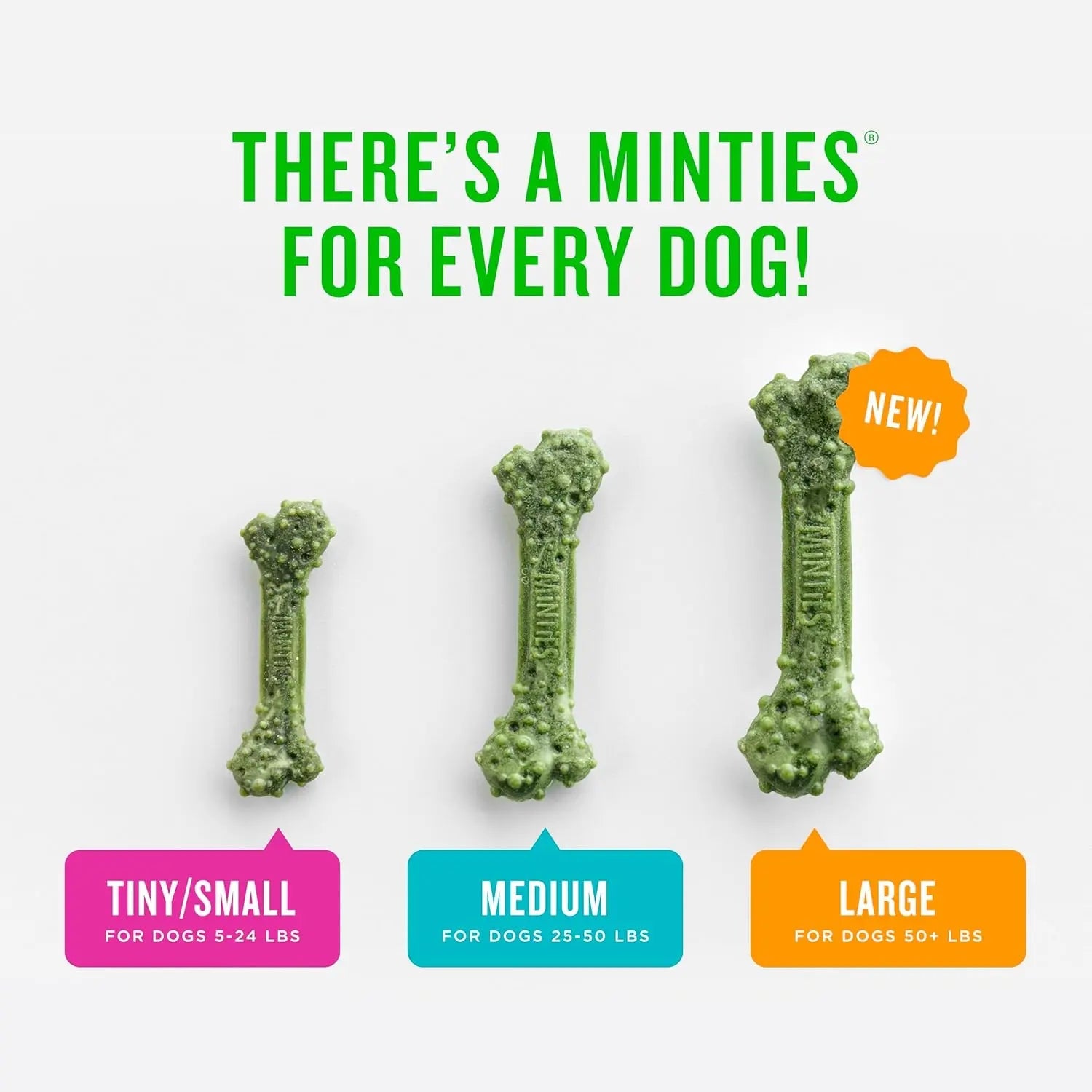 Minties Dental Dog Treats | Vet-Recommended Mint Bones for Fresh Breath – Wags & Whiskers