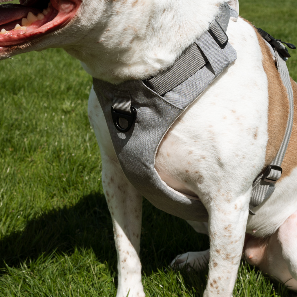 Magnetic Dog Harness - No-Pull Design