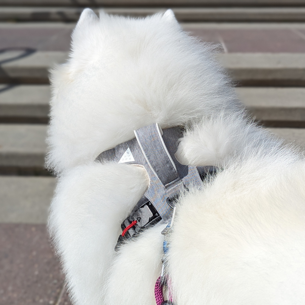 Magnetic Dog Harness - No-Pull Design