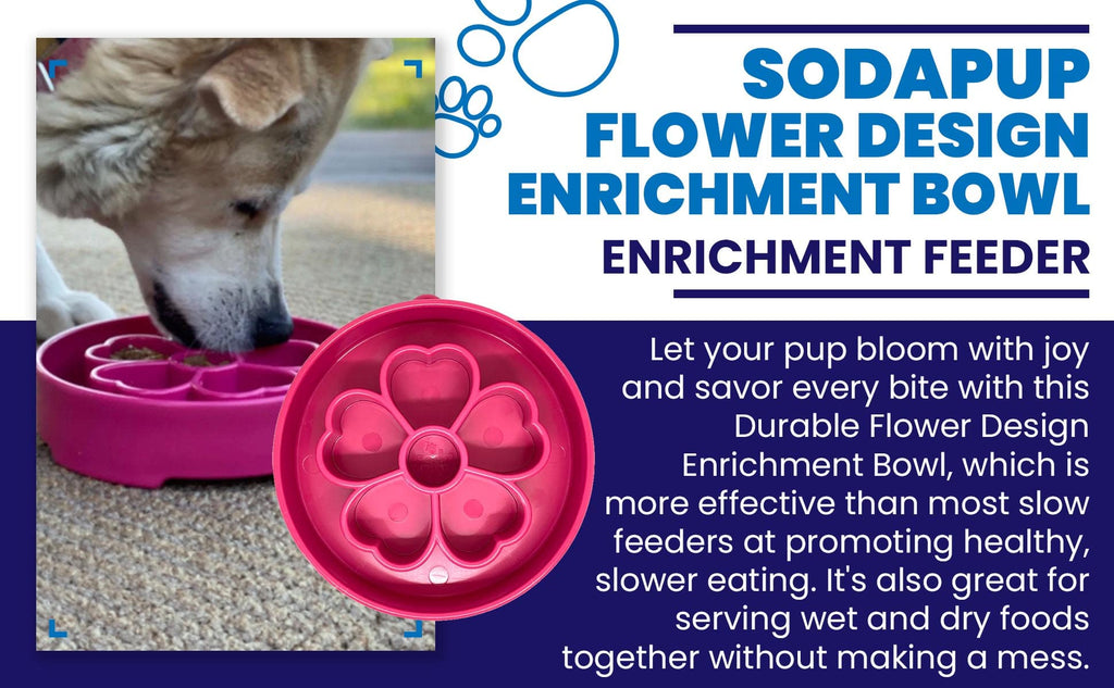 Flower eBowl Slow Feeder Bowl | Made in USA