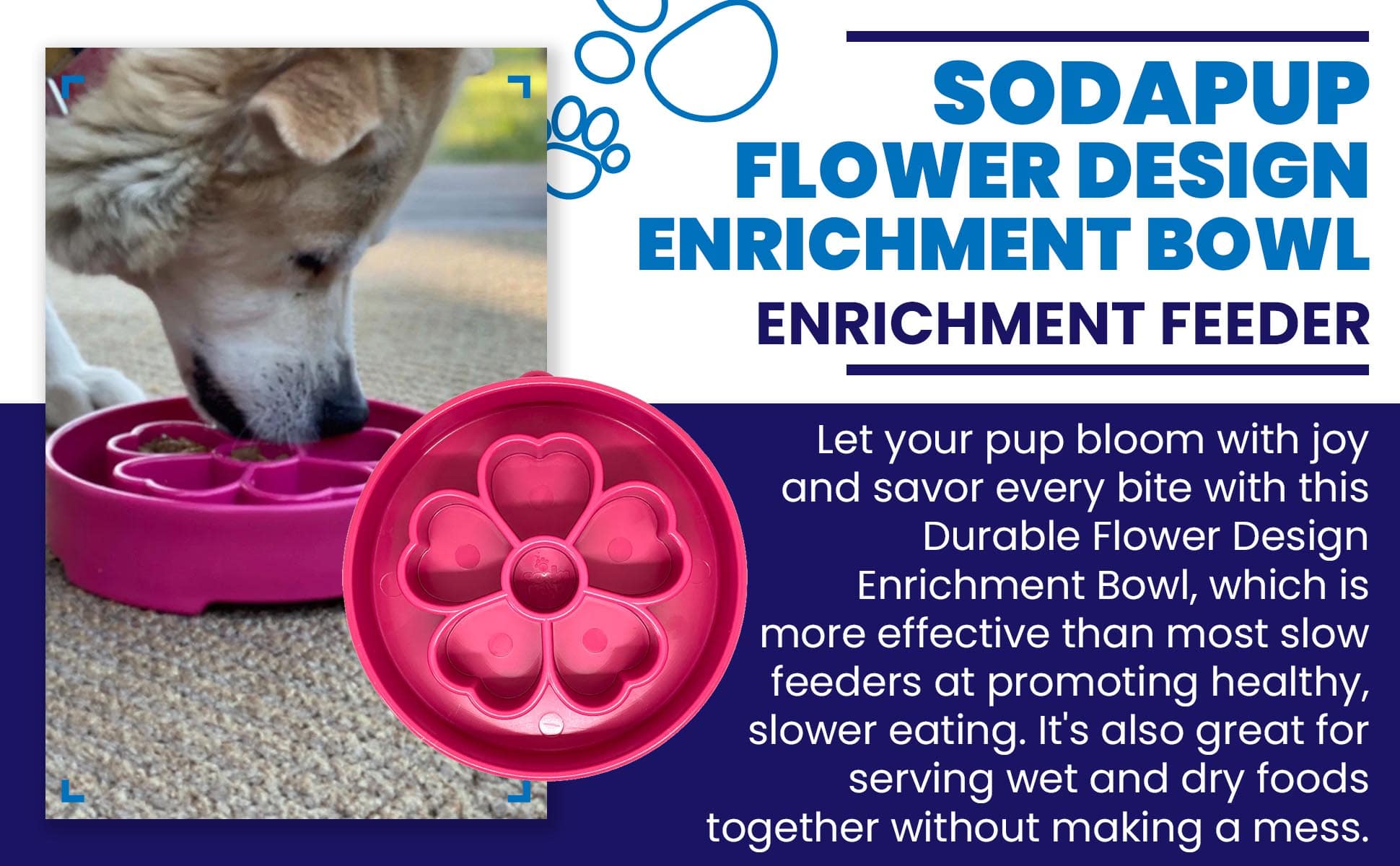Flower eBowl Slow Feeder Bowl | Made in USA