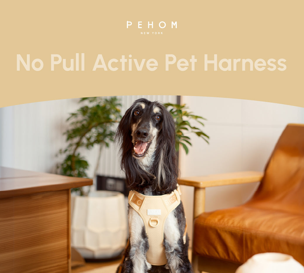 No pull active pet harness - APRICOT