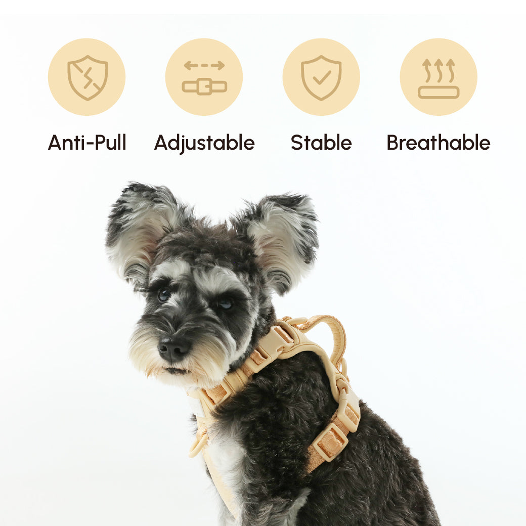 No pull active pet harness - APRICOT