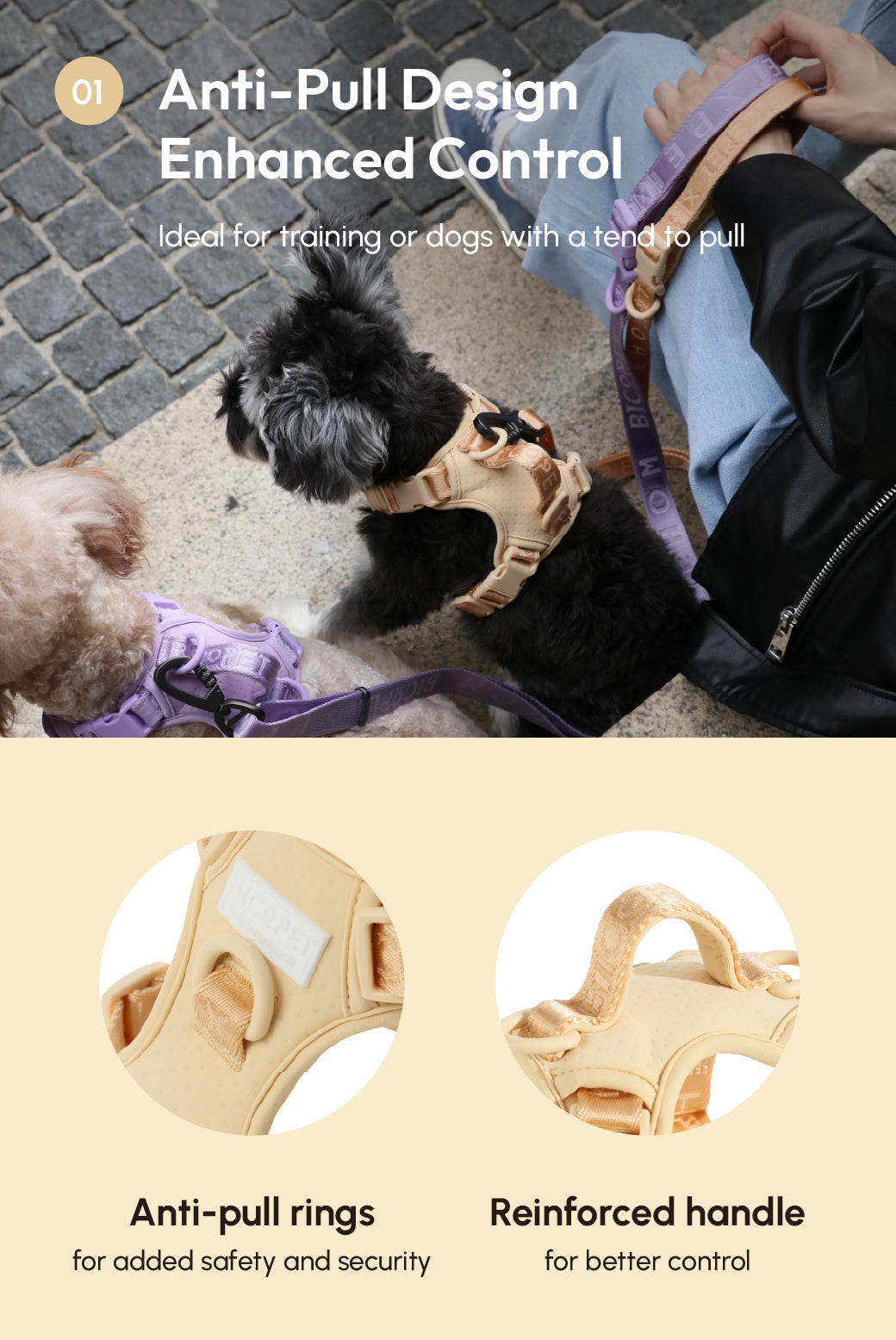 No pull active pet harness - APRICOT