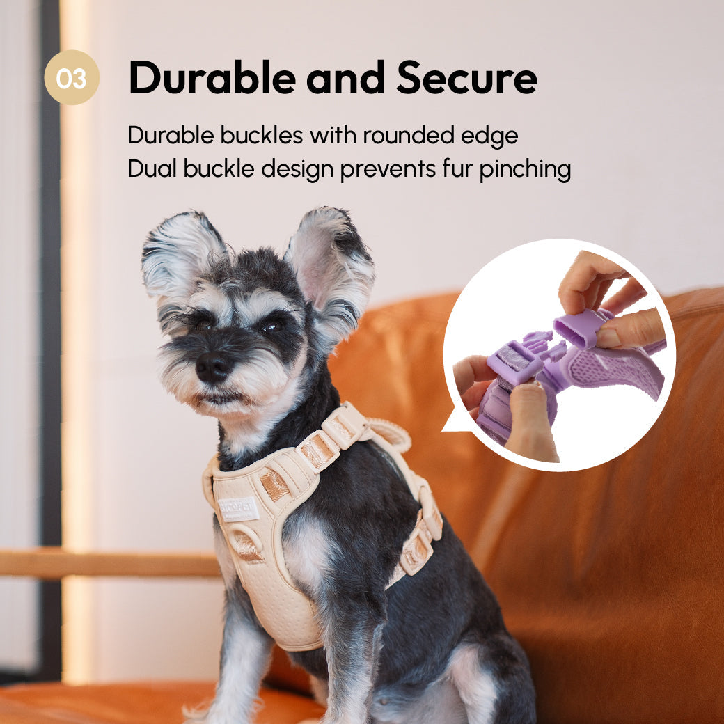No pull active pet harness - APRICOT