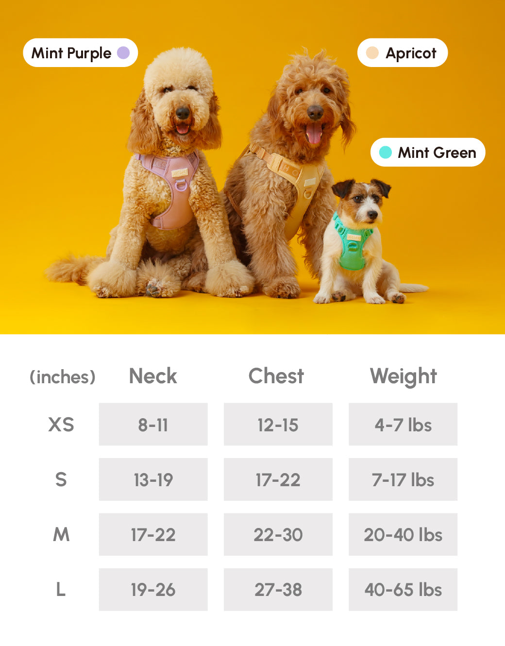 No pull active pet harness - APRICOT