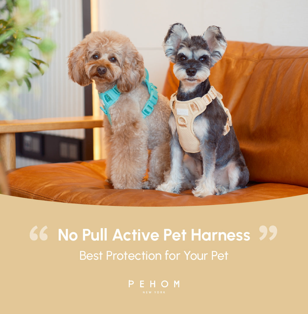 No pull active pet harness - APRICOT