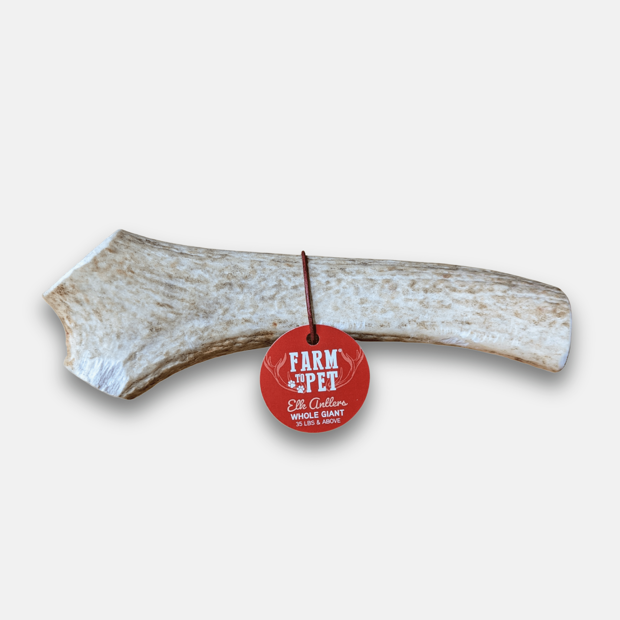 Elk Antler Dog Chews | All-Natural Whole and Split Elk Antler Chews | American sourced