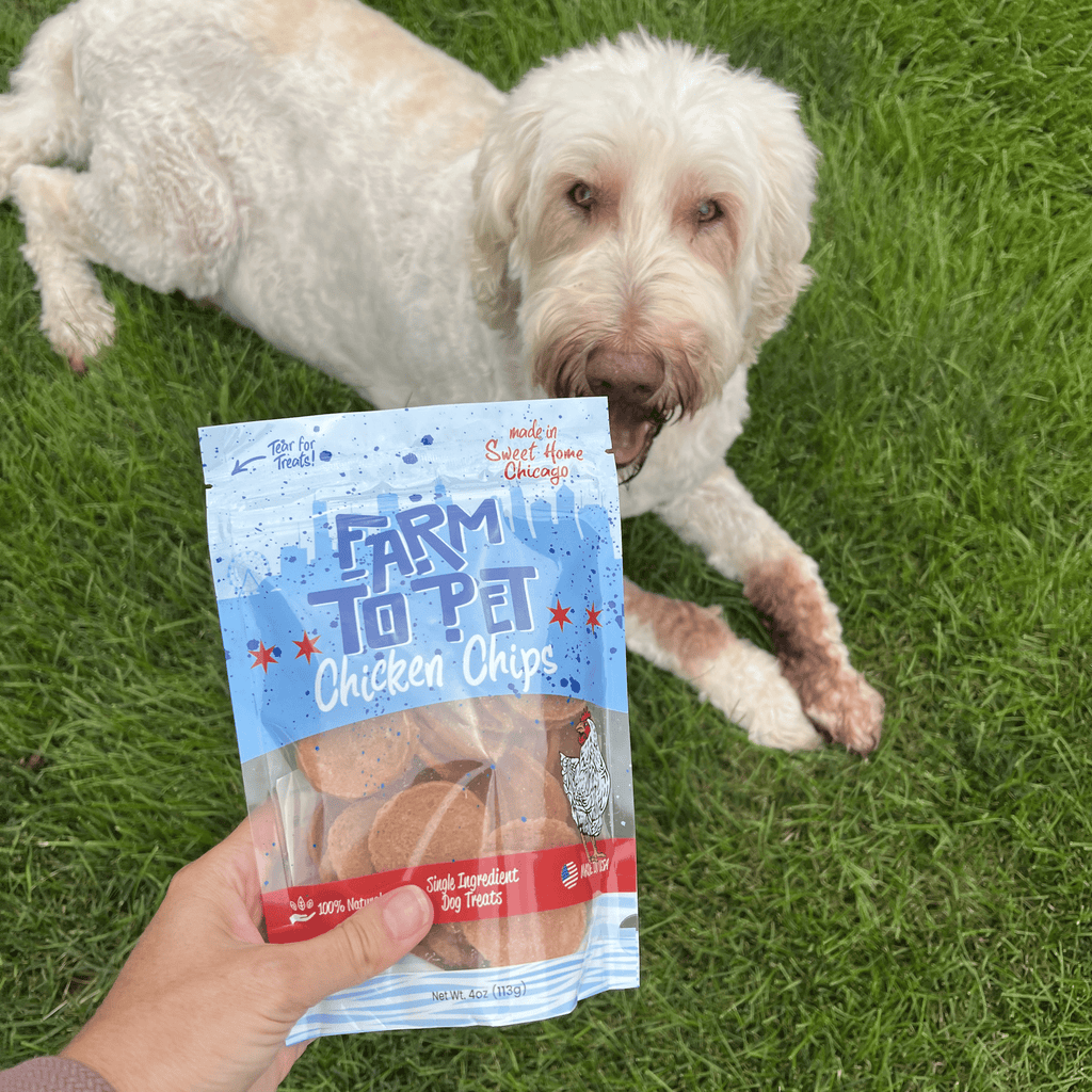 Chicago Chicken Chips for Dogs | Dog Treats