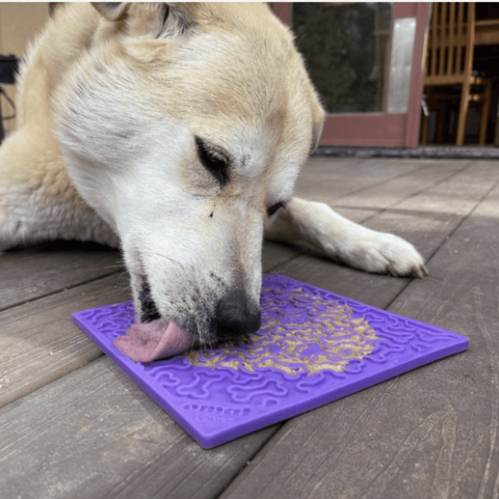 Dogs & Cats Lick Mats