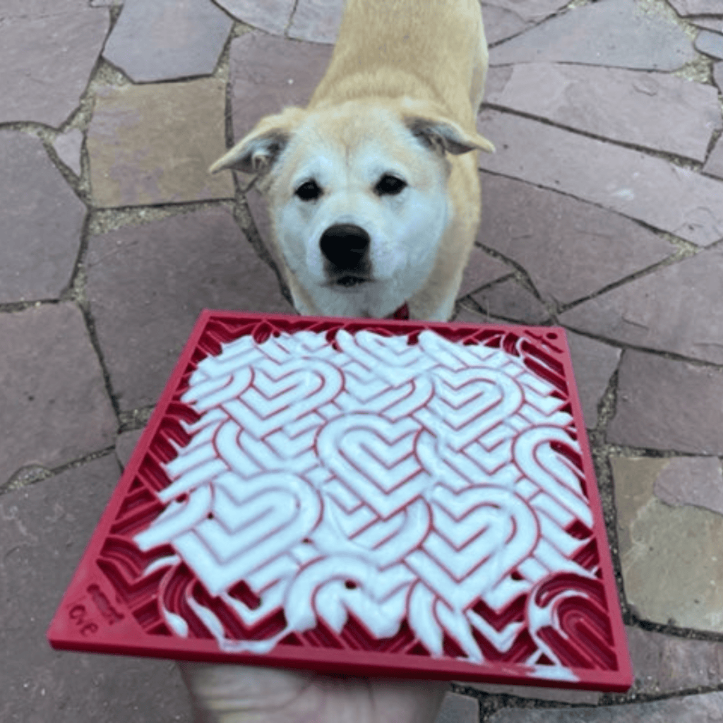Dogs & Cats Lick Mats