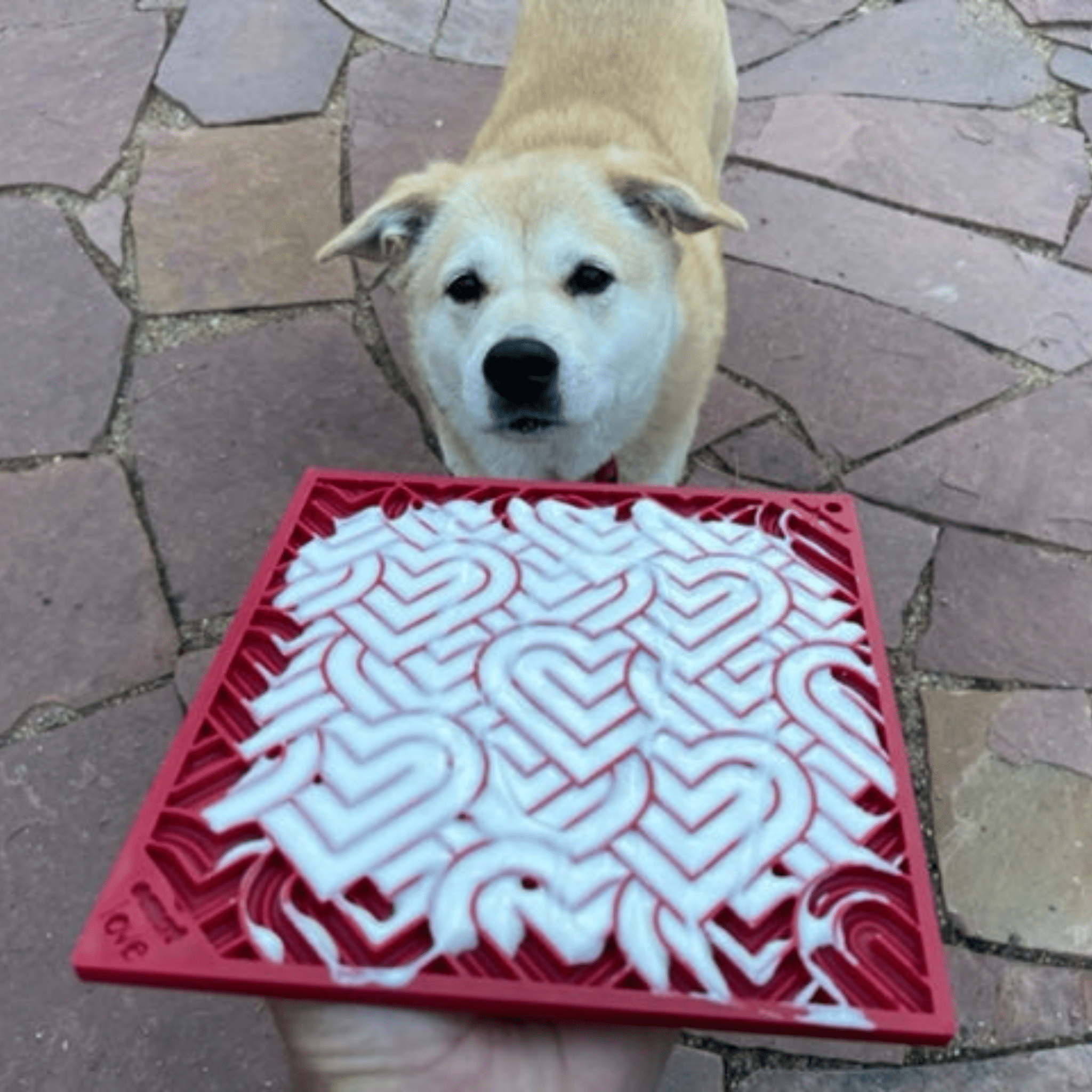 Dogs & Cats Lick Mats