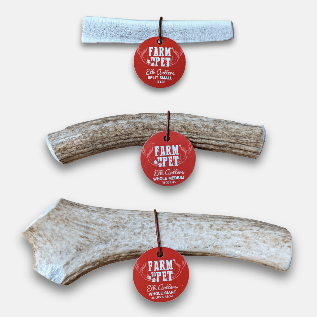 Elk Antler Dog Chews | All-Natural Whole and Split Elk Antler Chews | American sourced