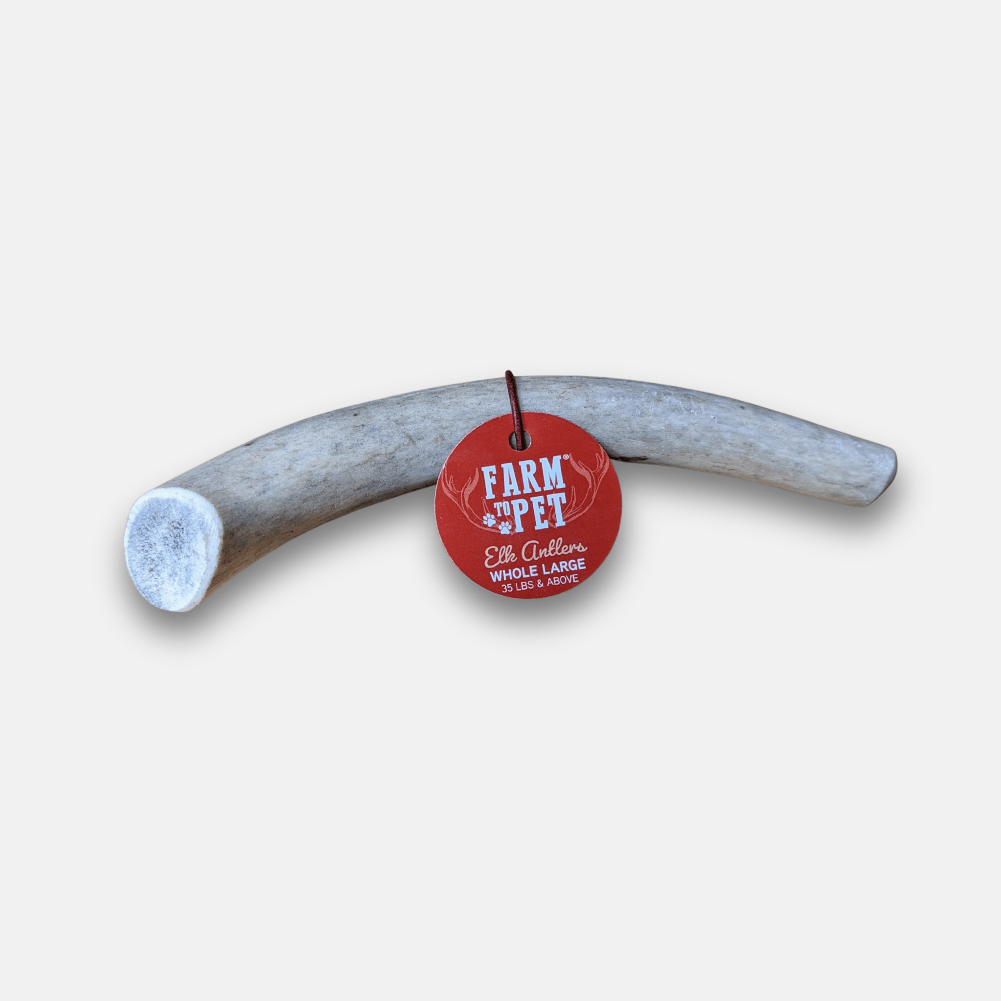 Elk Antler Dog Chews | All-Natural Whole and Split Elk Antler Chews | American sourced