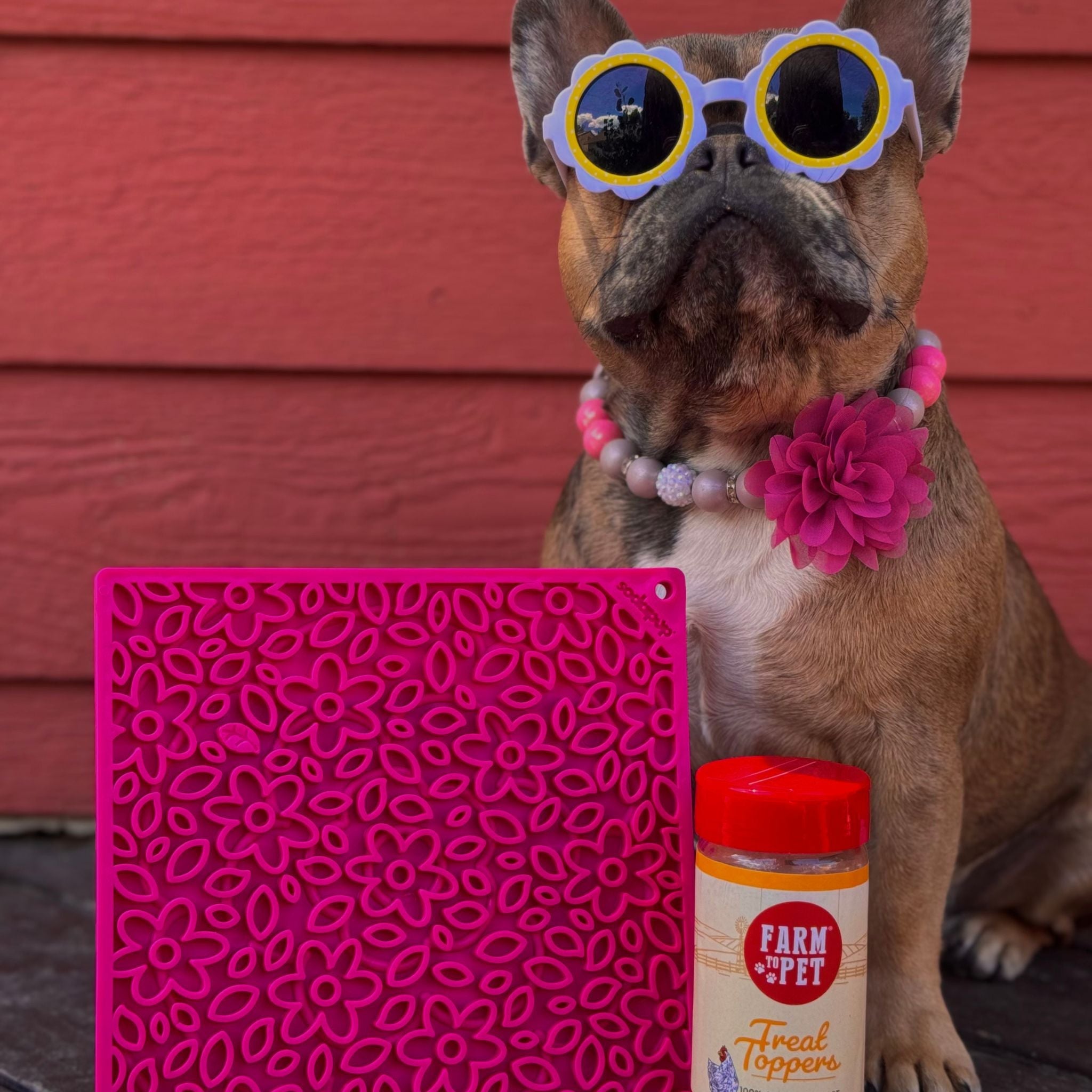 Dogs & Cats Lick Mats