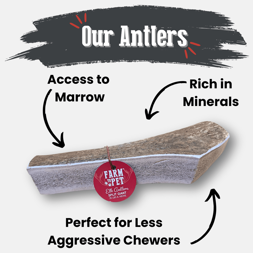 Elk Antler Dog Chews | All-Natural Whole and Split Elk Antler Chews | American sourced