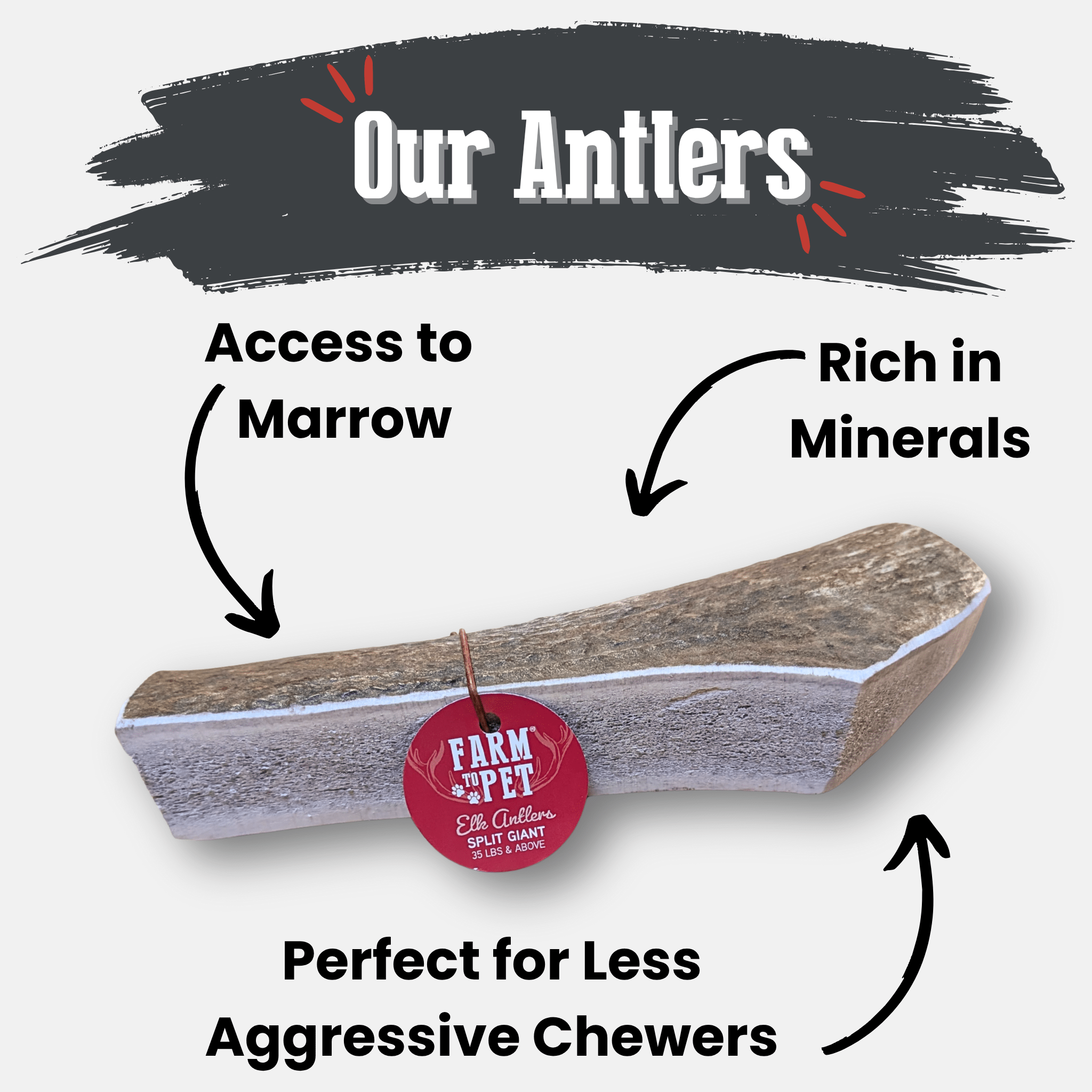 Elk Antler Dog Chews | All-Natural Whole and Split Elk Antler Chews | American sourced