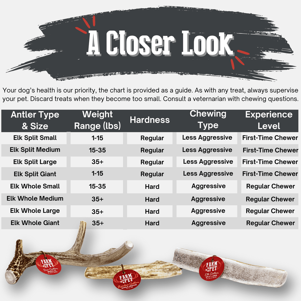 Elk Antler Dog Chews | All-Natural Whole and Split Elk Antler Chews | American sourced