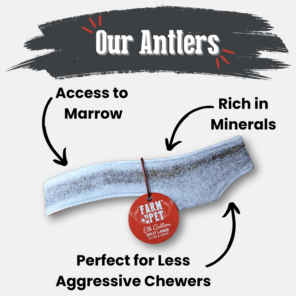 Elk Antler Dog Chews | All-Natural Whole and Split Elk Antler Chews | American sourced