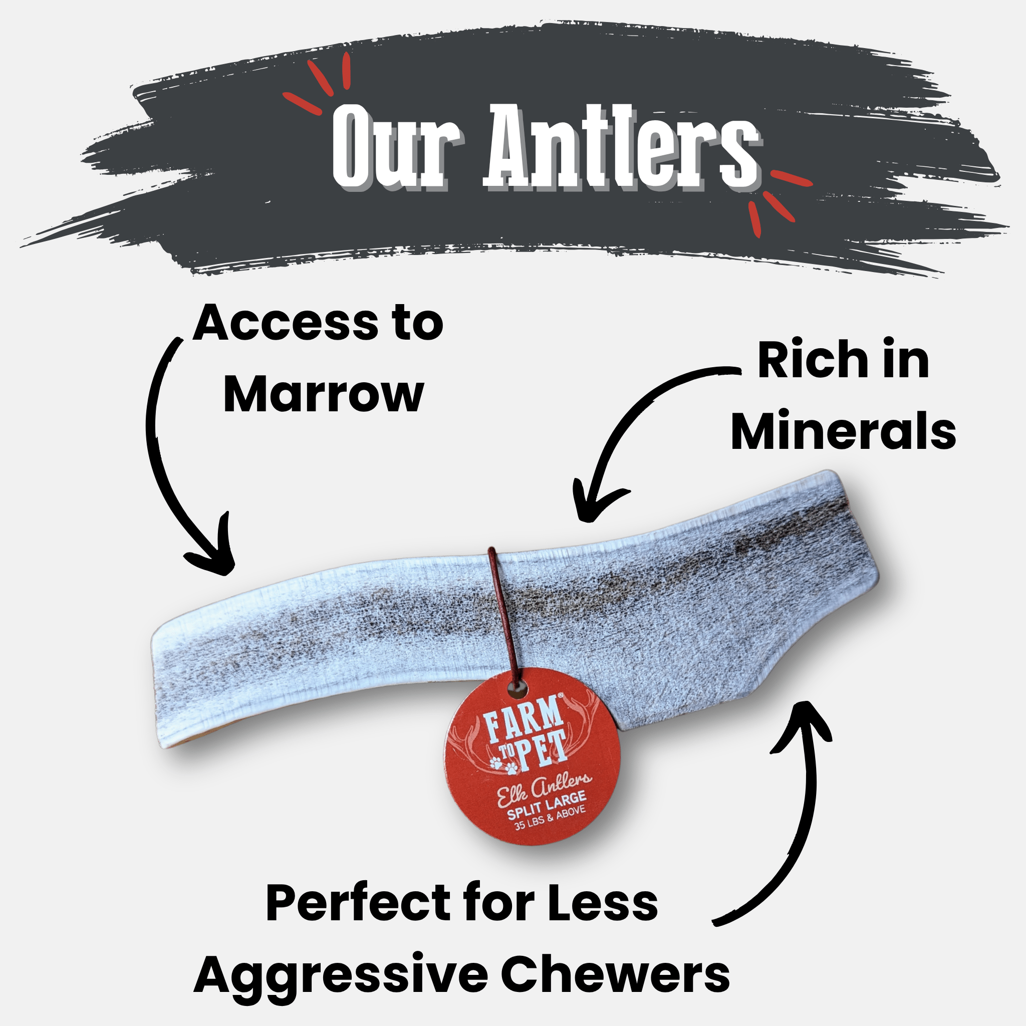 Elk Antler Dog Chews | All-Natural Whole and Split Elk Antler Chews | American sourced