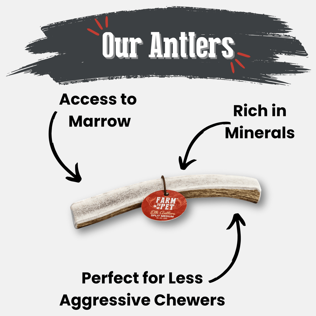 Elk Antler Dog Chews | All-Natural Whole and Split Elk Antler Chews | American sourced
