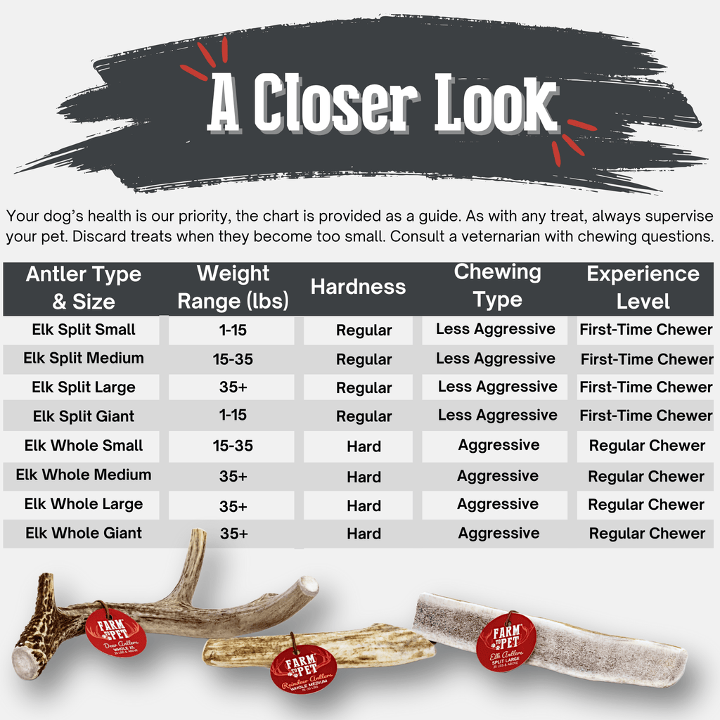 Elk Antler Dog Chews | All-Natural Whole and Split Elk Antler Chews | American sourced