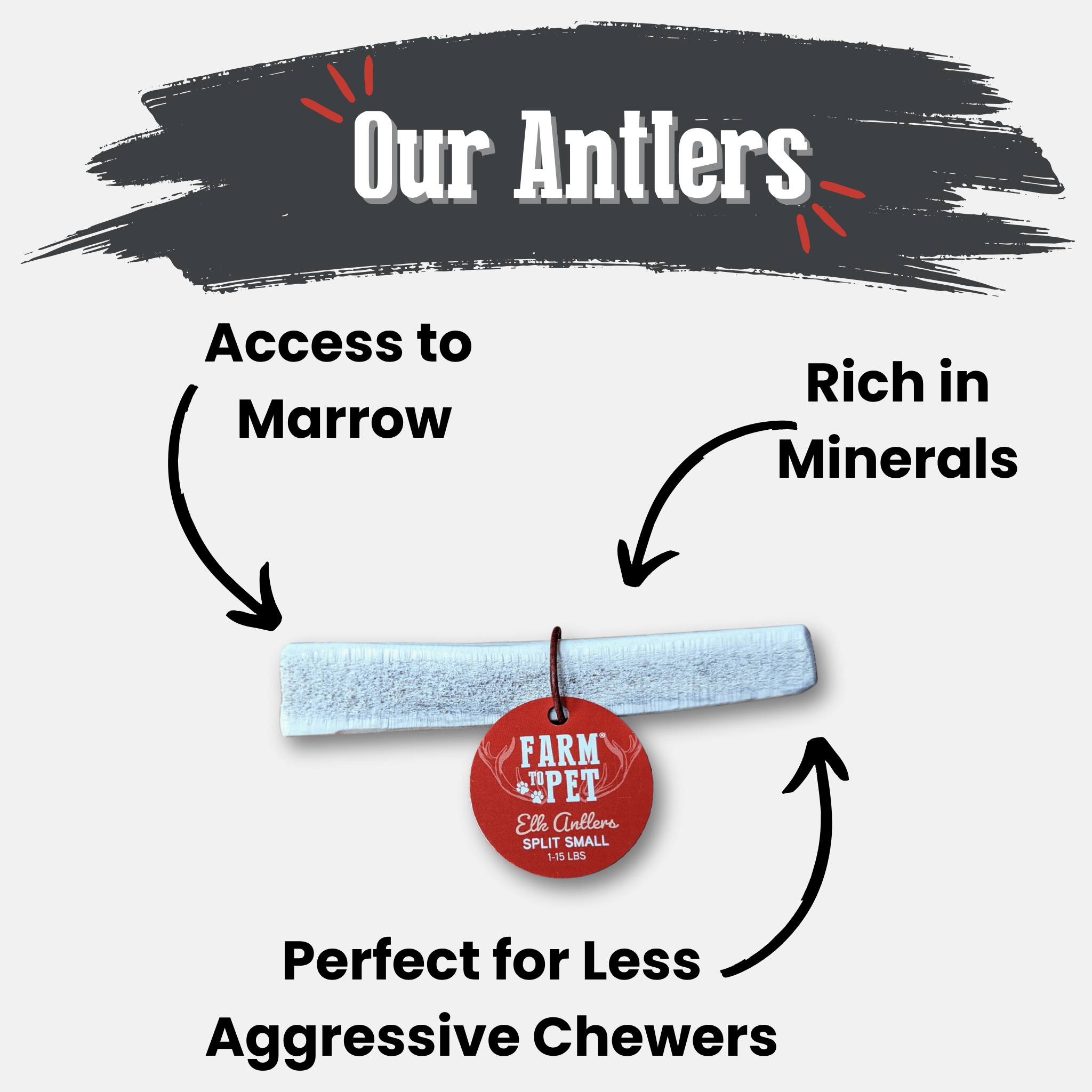 Elk Antler Dog Chews | All-Natural Whole and Split Elk Antler Chews | American sourced