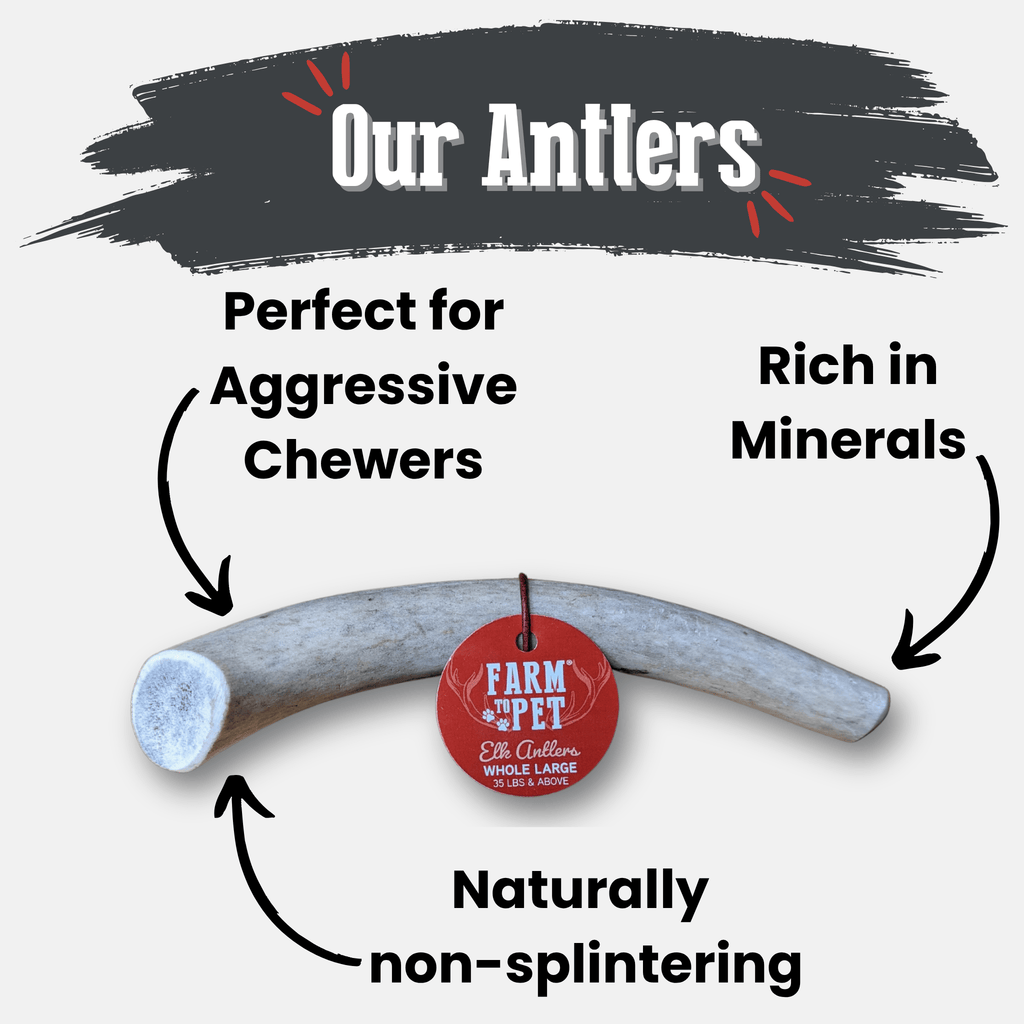 Elk Antler Dog Chews | All-Natural Whole and Split Elk Antler Chews | American sourced