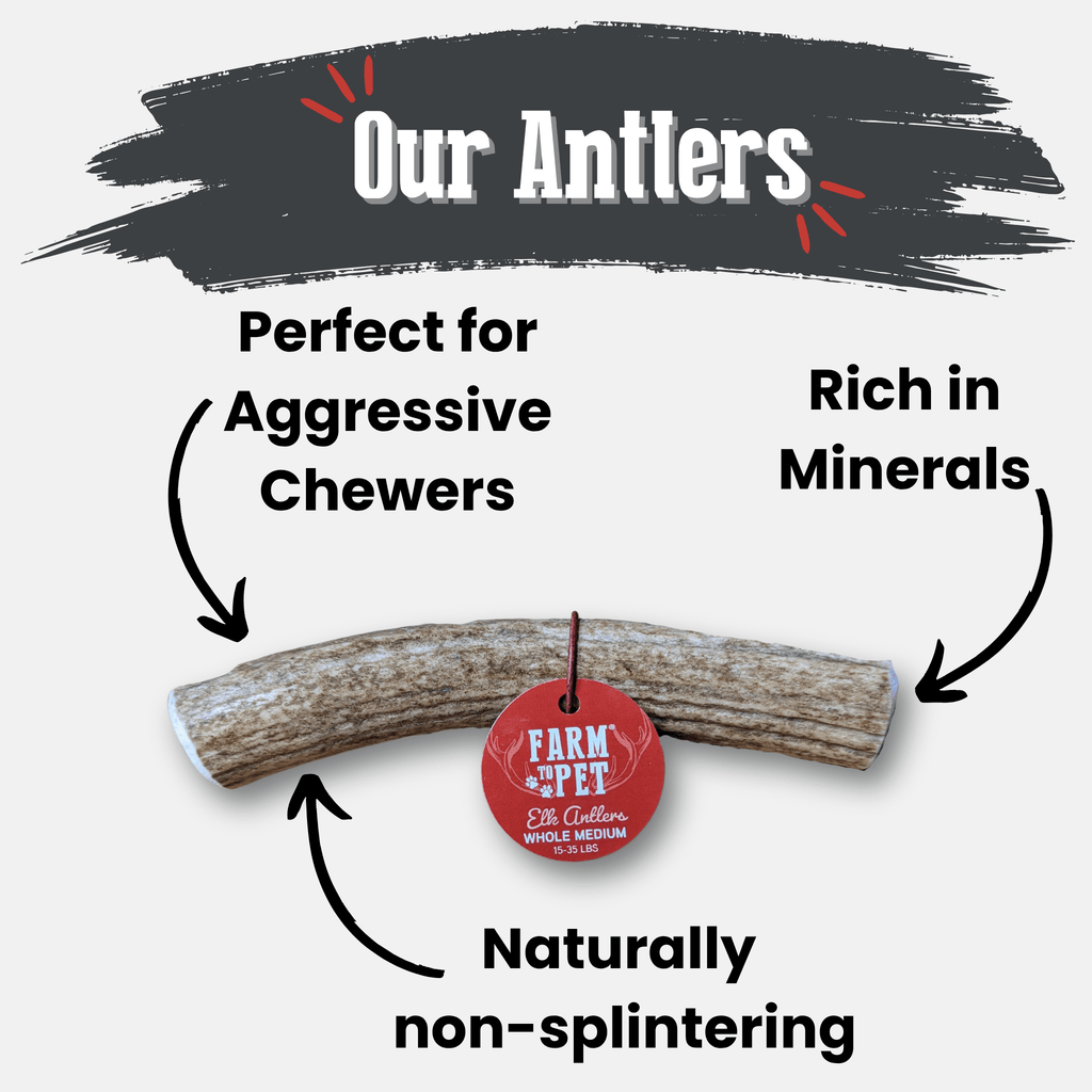 Elk Antler Dog Chews | All-Natural Whole and Split Elk Antler Chews | American sourced