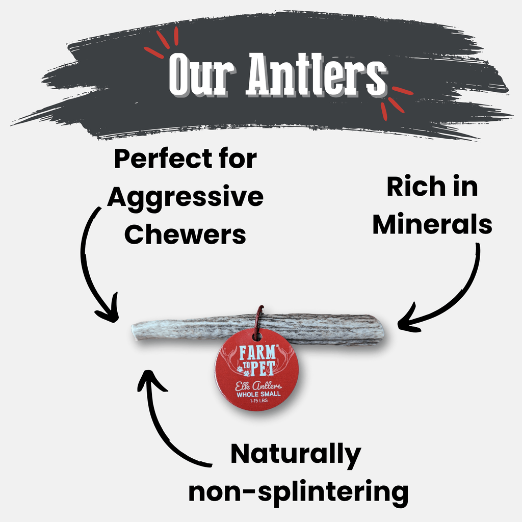 Elk Antler Dog Chews | All-Natural Whole and Split Elk Antler Chews | American sourced