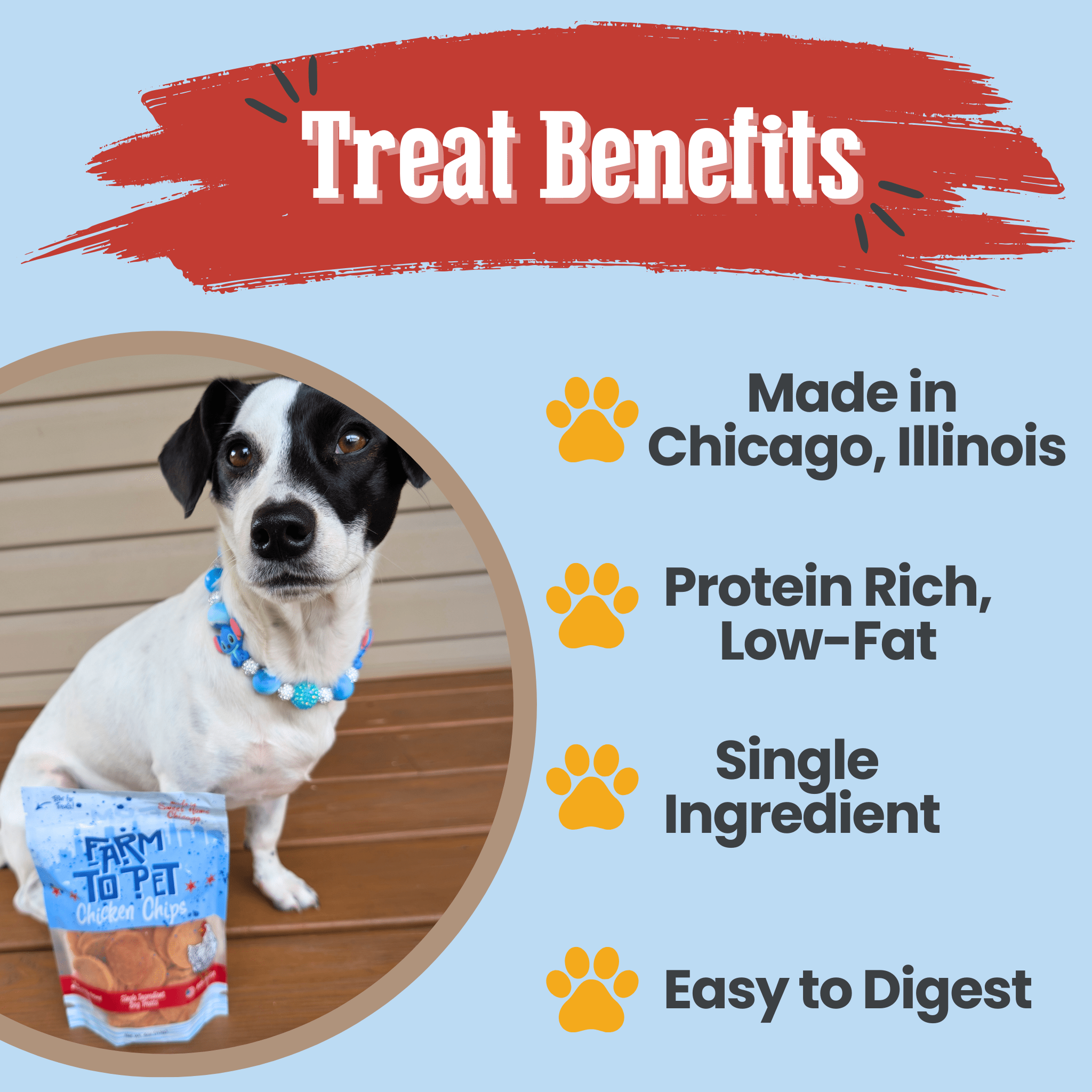 Chicago Chicken Chips for Dogs | Dog Treats