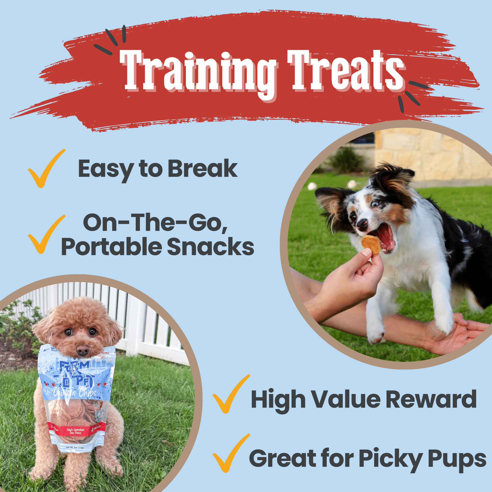 Chicago Chicken Chips for Dogs | Dog Treats