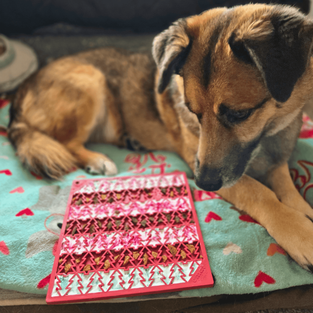 Dogs & Cats Lick Mats
