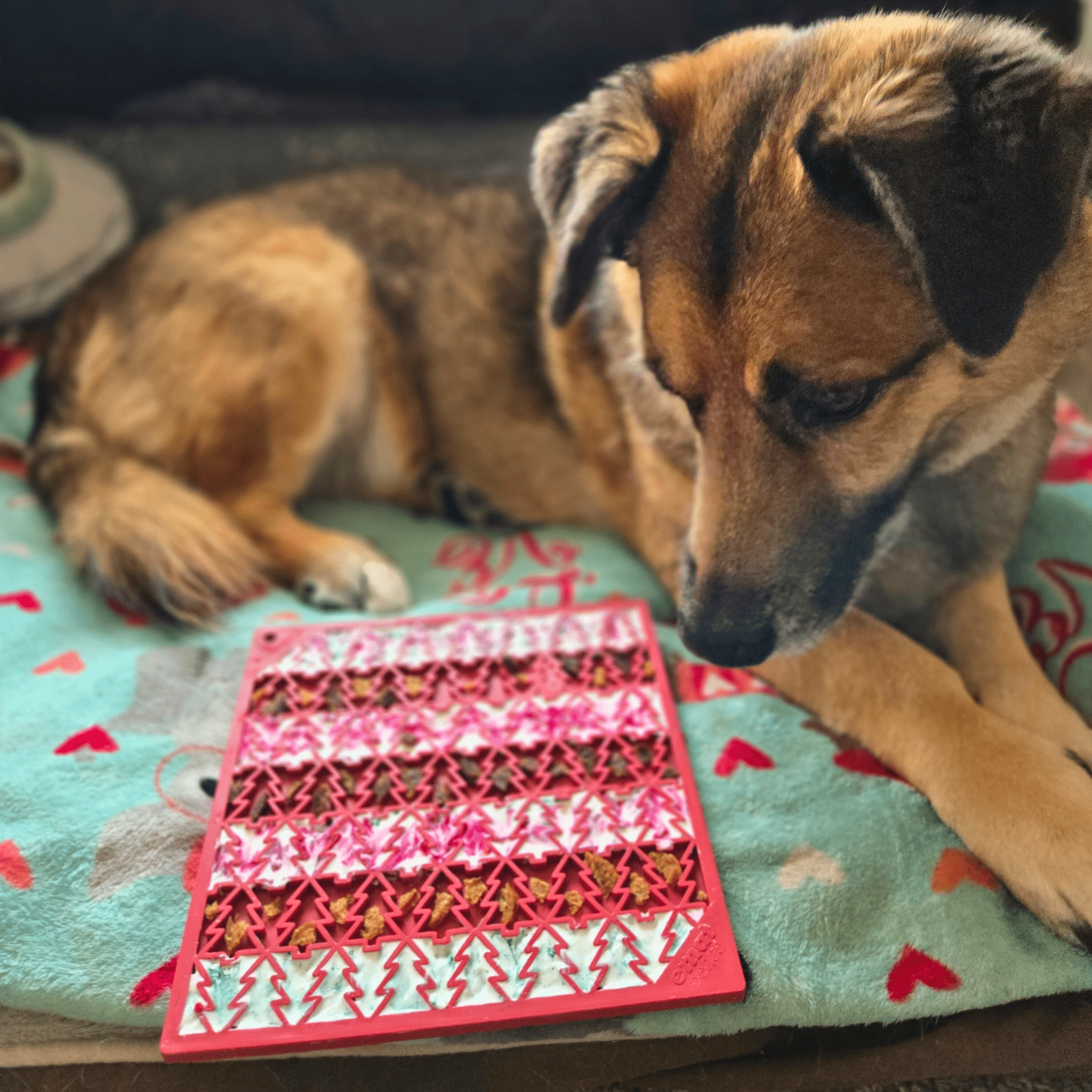 Dogs & Cats Lick Mats