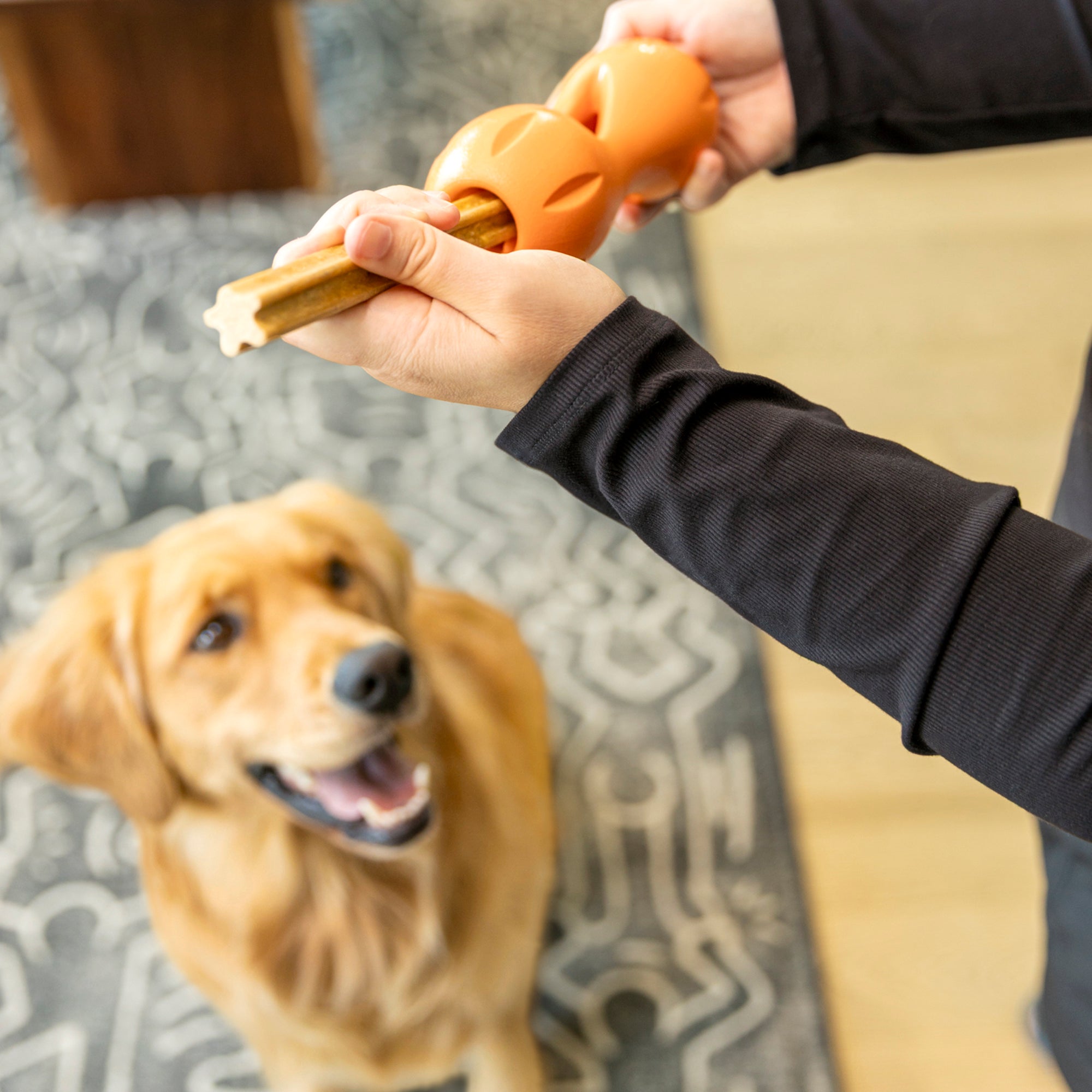Dog Natural Dental Sticks Large