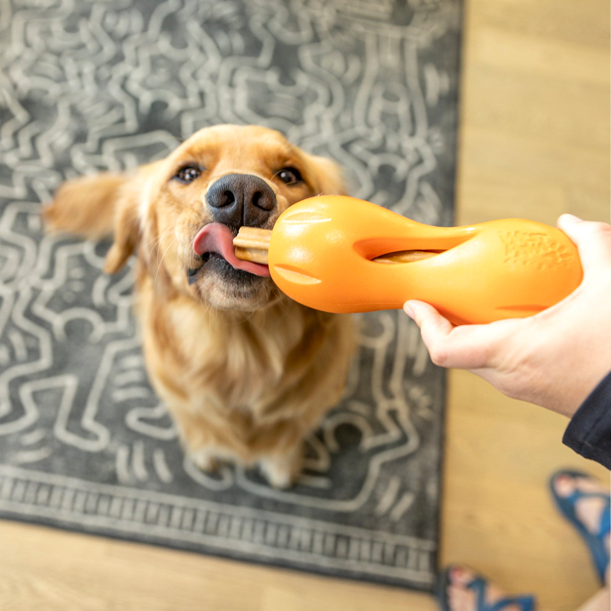 Dog Natural Dental Sticks Large