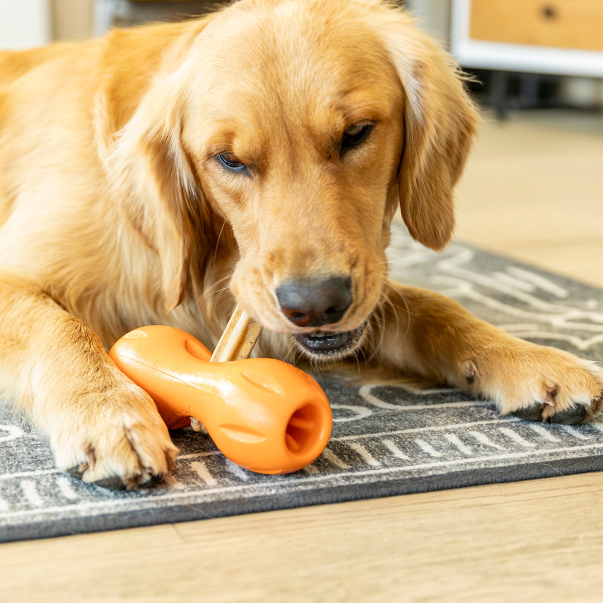 Dog Natural Dental Sticks Large