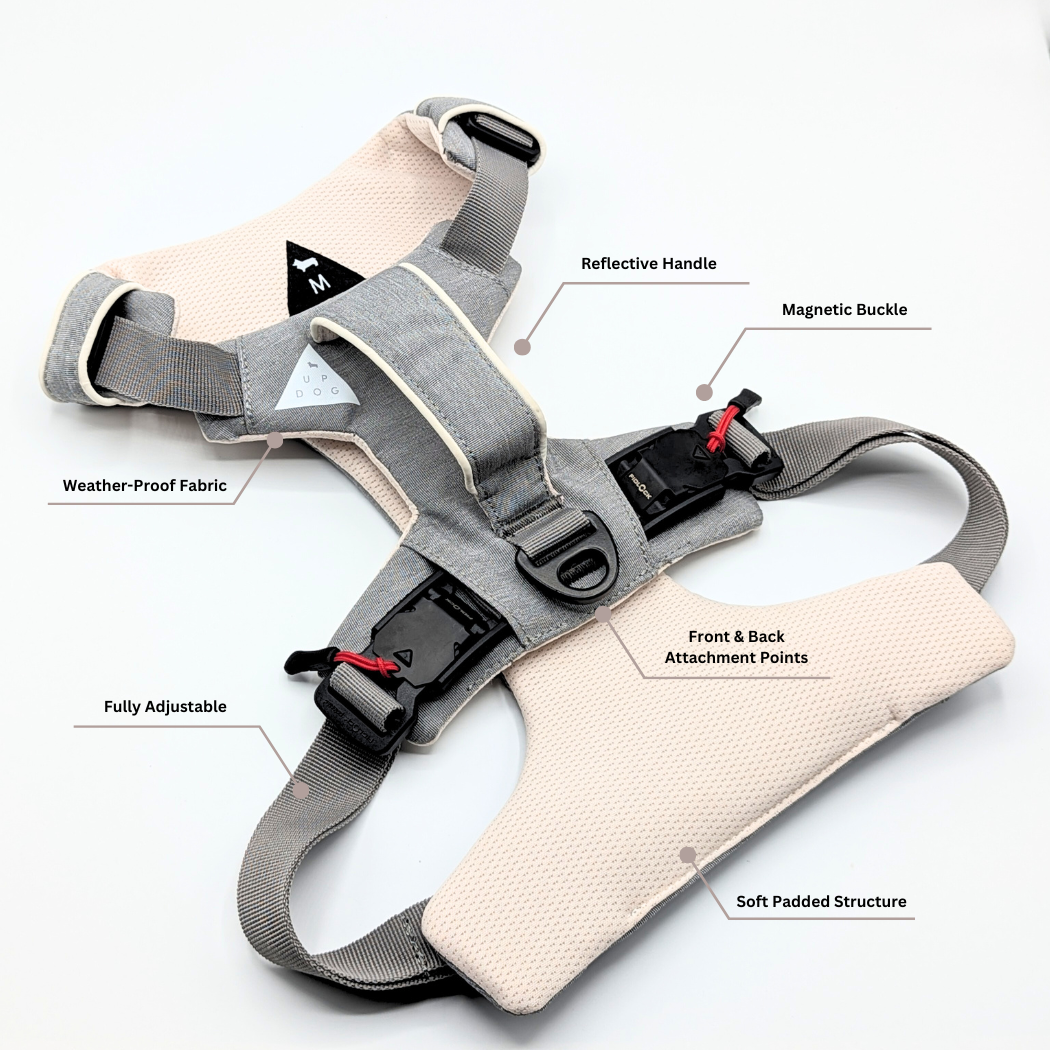Magnetic Dog Harness - No-Pull Design