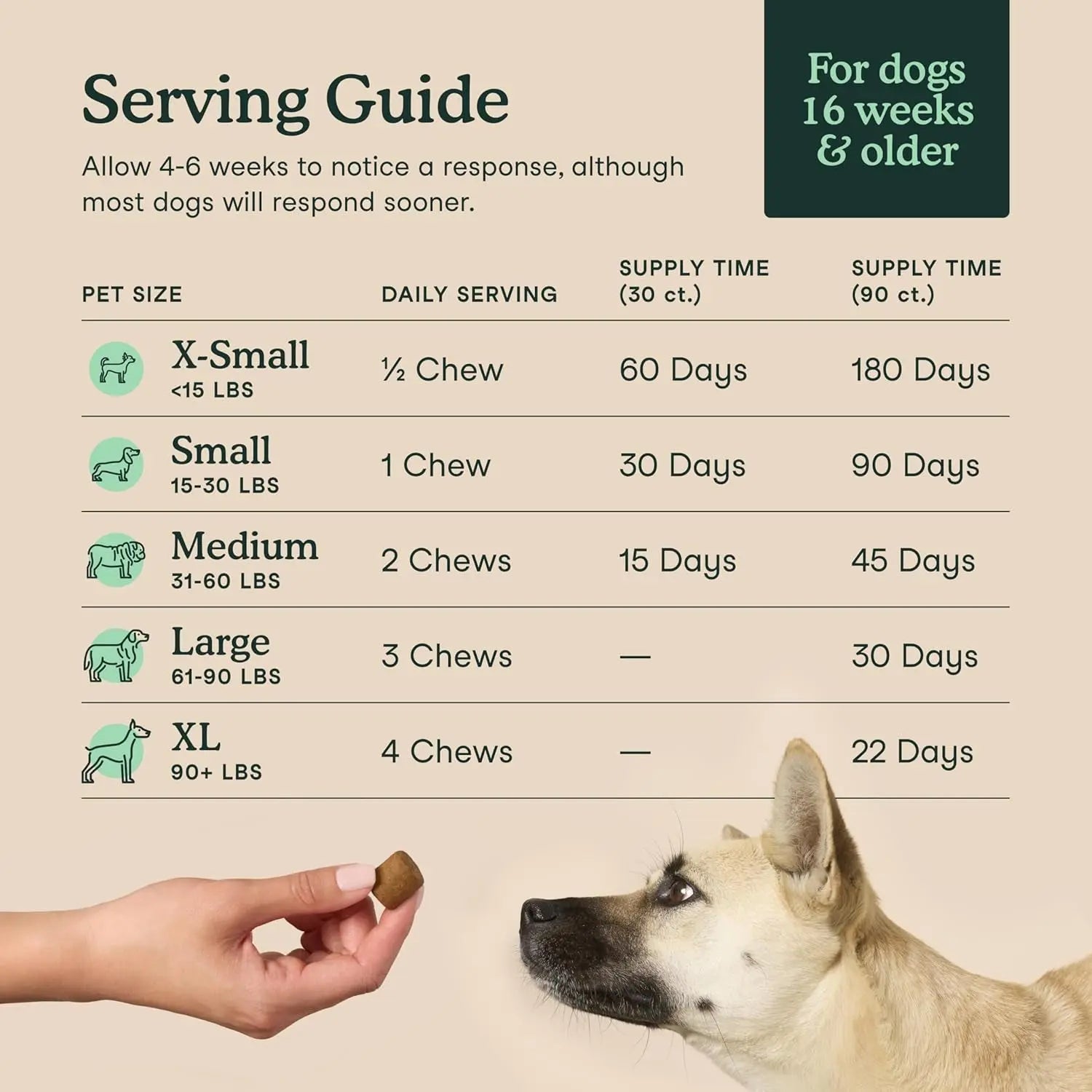 Hip & Joint Supplement for Dogs | Glucosamine & MSM Soft Chews, 90 Ct – Wags & Whiskers