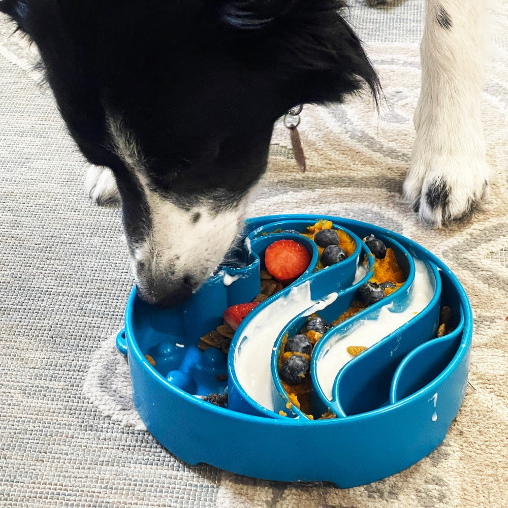 Wave eBowl Slow Feeder Bowl | Made in USA