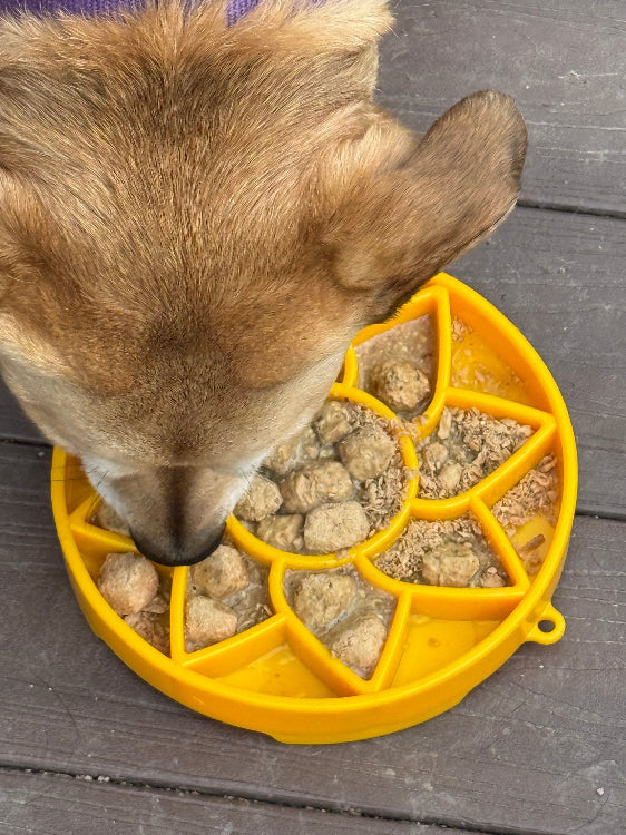 Sunflower eTray Slow Feeder Bowl | USA Made