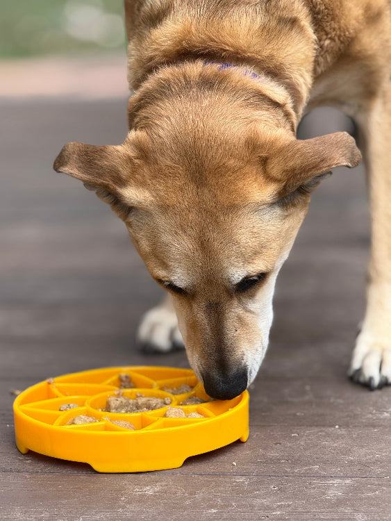 Sunflower eTray Slow Feeder Bowl | USA Made